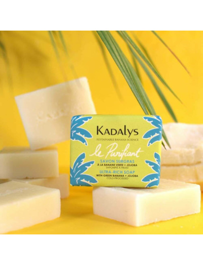 Savon Surgras Le Purifiant