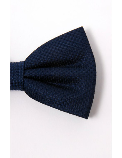 Noeud papillon en soie