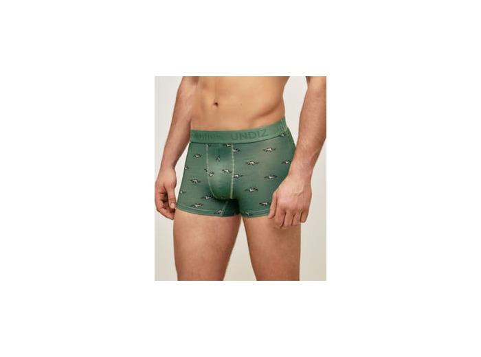Boxer vert en coton motifs canards