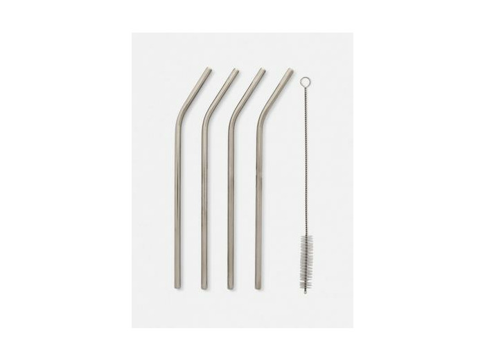 Lot de 4 pailles en acier inoxydable