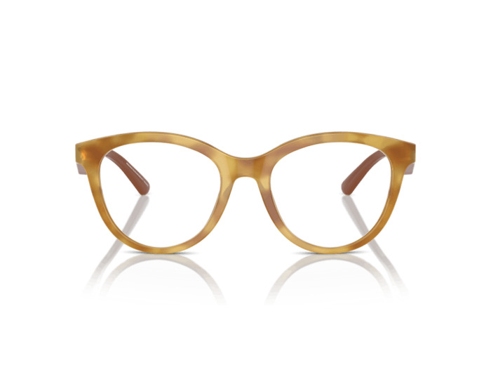 Lunettes de vue EMPORIO ARMANI EA3236 6115