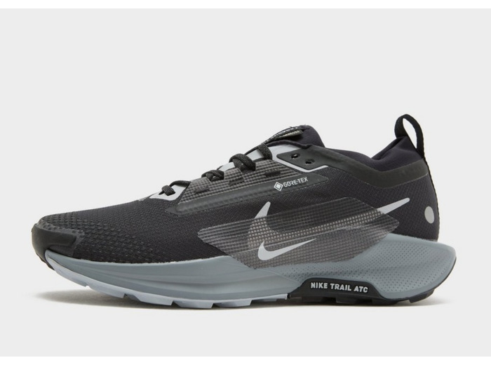 Nike Chaussures de trail Pegasus Trail 5 GORE-TEX® Homme