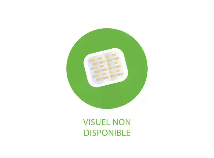 Vitalite 4 G Dynamisant Solution Buvable 10 Unidoses De 10 Ml