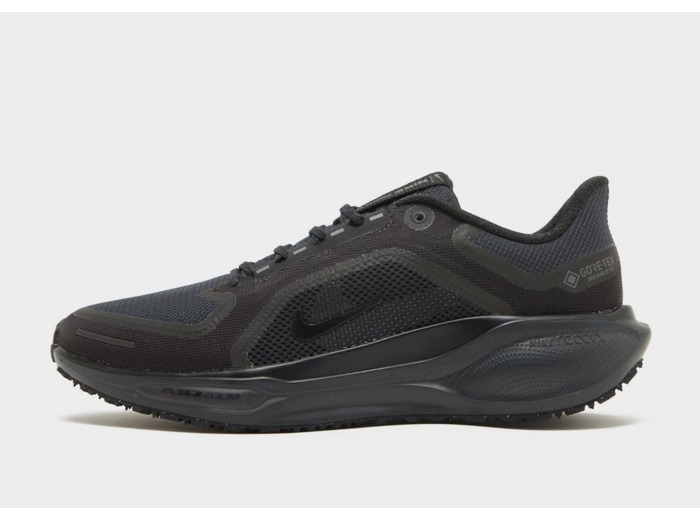 Nike Pegasus 41 GORE-TEX Homme