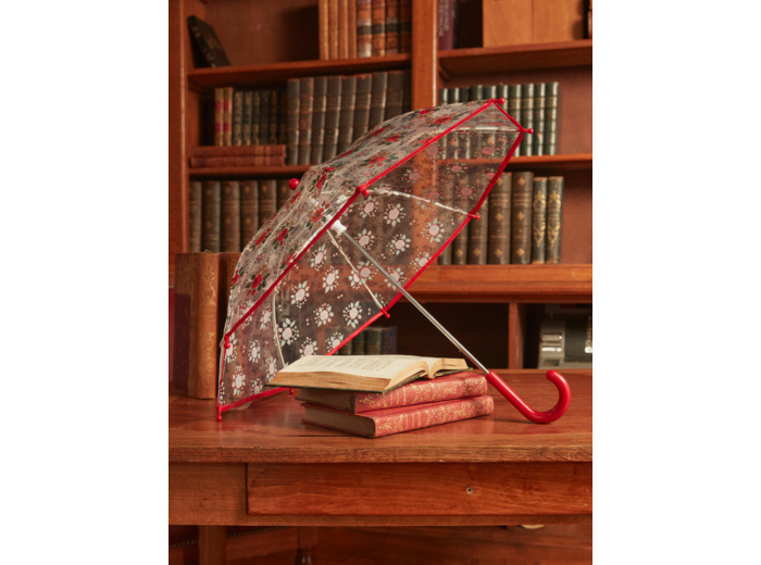 Parapluie Transparent