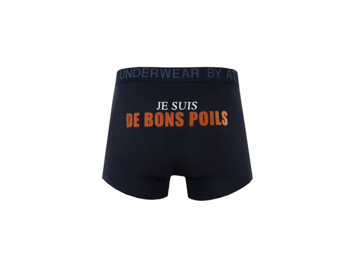 Boxer Poils