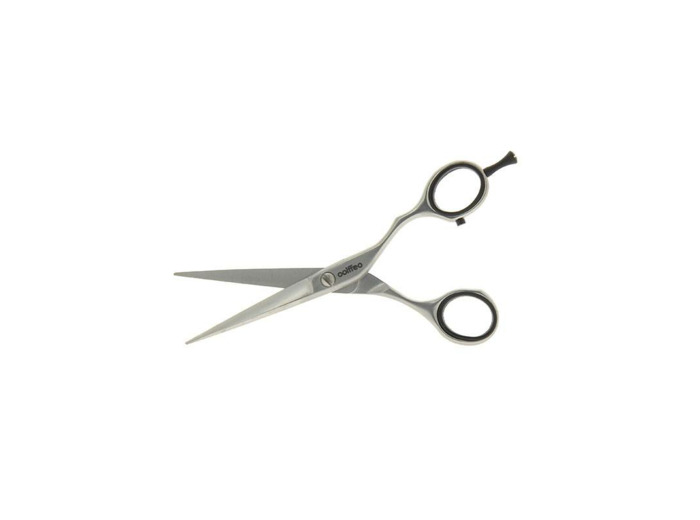 Ciseaux droit en acier inoxydable