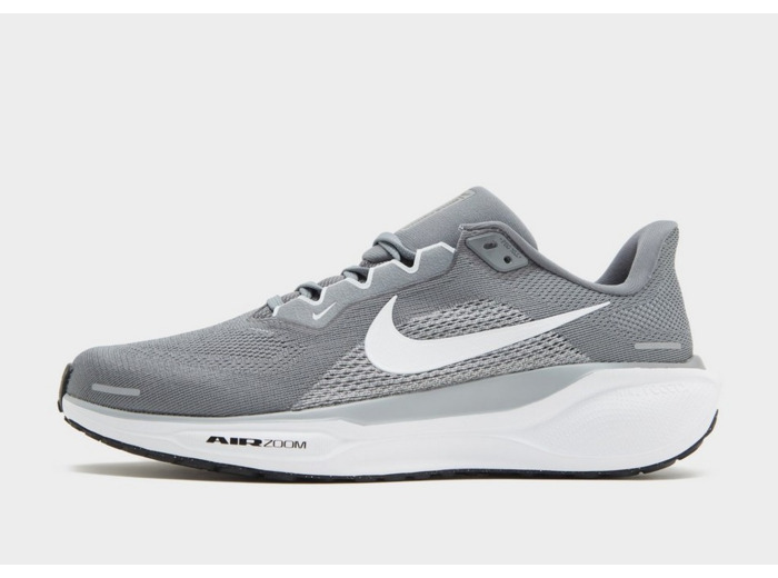 Nike Pegasus 41 Homme