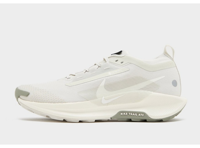 Nike Pegasus Trail 5 GORE-TEX Homme