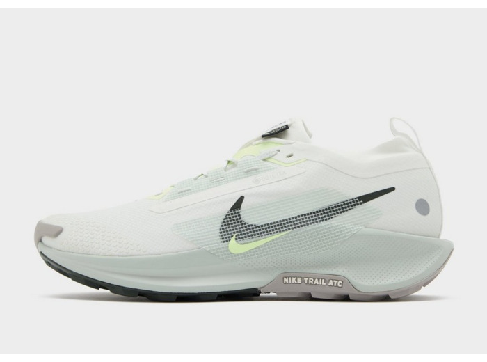 Nike Pegasus Trail 5 GORE-TEX Homme