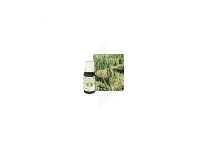 Huile Essentielle Romarin Cineol Pranarom 10 Ml