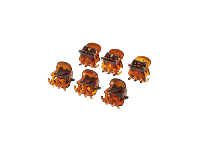 Mini pince marron x6