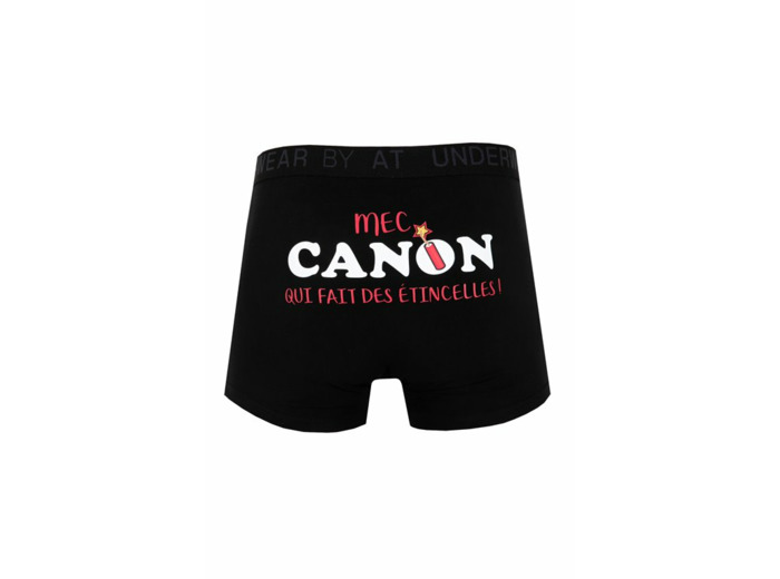 Boxer Canon