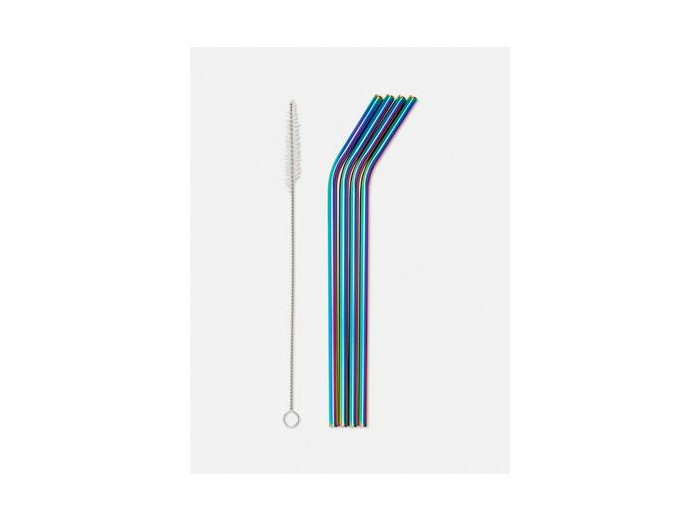 Lot de 4 pailles arc-en-ciel en acier inoxydable