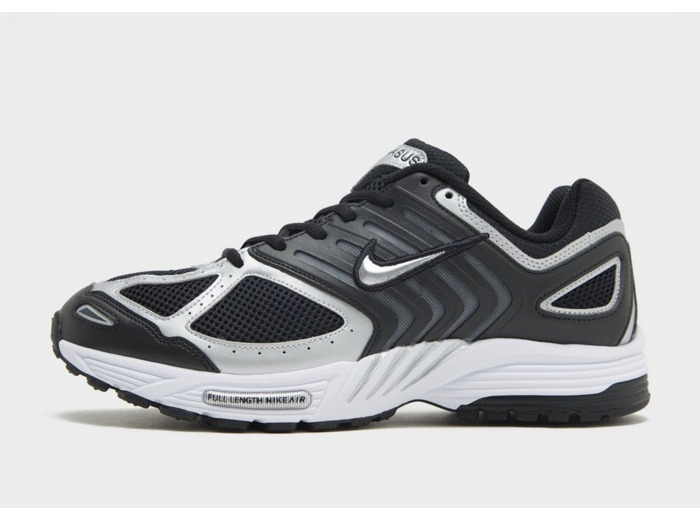 Nike Air Pegasus 2005