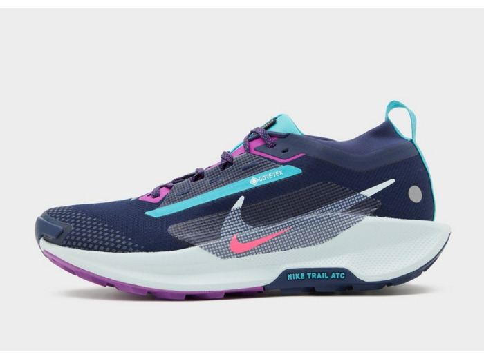 Nike Chaussures de trail Pegasus Trail 5 GORE-TEX® Homme