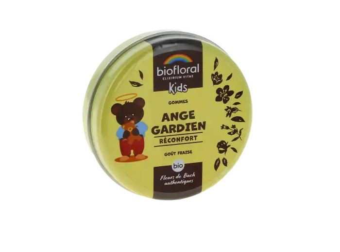 Biofloral Enfant Gomme Bio Ange Gardien Boîte De 45 G