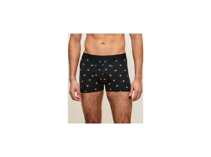 Boxer en coton motifs pommes
