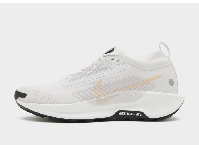 Nike Pegasus Trail 5 GORE-TEX Homme