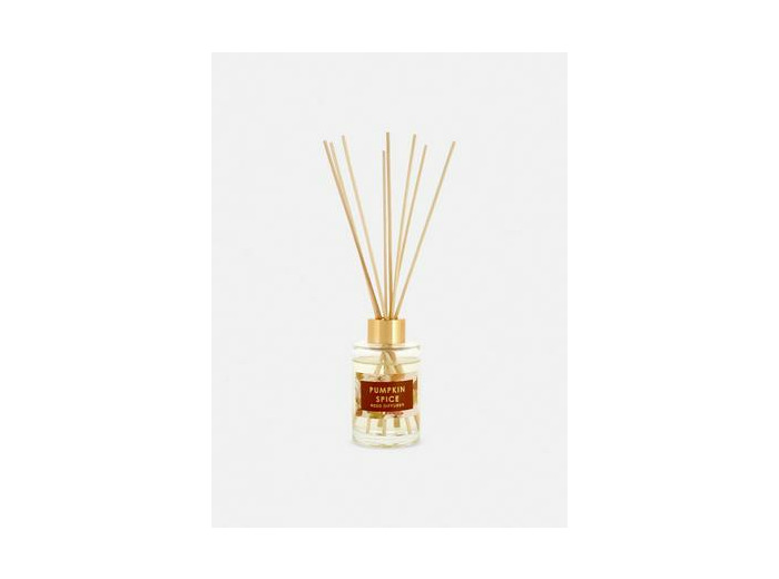 Diffuseur de parfum à bâtonnets