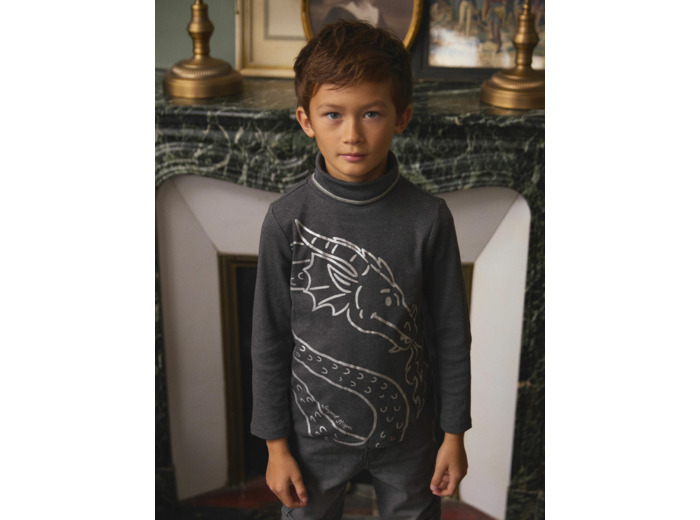 Sous-pull Gris Dragon