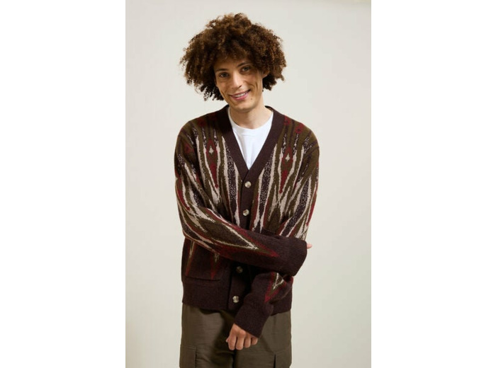 Gilet cardigan jacquard - Marron