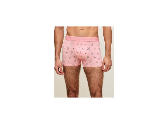 Boxer en coton Bugs Bunny