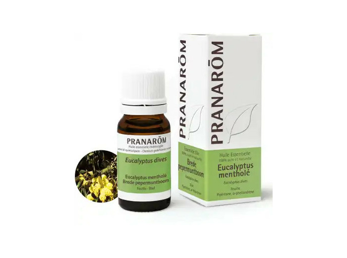 Pranarom Huile Essentielle Eucalyptus MentholÉ Flacon De 10 Ml