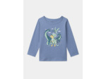 Pyjama Triceratops