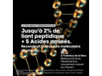 Shampooing réparateur Absolut Repair Molecular recharge 500ml
