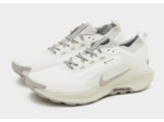 Nike Pegasus Trail 5 GORE-TEX Homme
