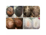 Fibres densifiantes pour cheveux châtain foncé