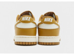 Nike Dunk Low Retro Homme