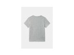 T-shirt gris pour garçons