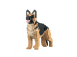BERGER ALLEMAND