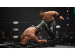 Aew: Fight Forever - Occasion