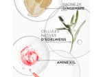 Défense Thermique Genesis