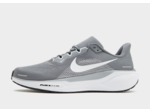 Nike Pegasus 41 Homme