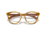 Lunettes de vue EMPORIO ARMANI EA3236 6115