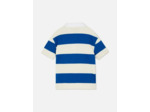 Polo de rugby
