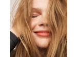 Shampooing sec Perfect Hair Day
