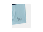 Lot de 5 boxers dinosaures pour garçons