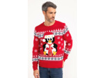 Pull Noël Pingouin