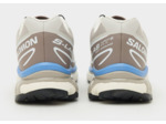 Salomon XT-6