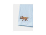Lot de 5 boxers dinosaures en jersey