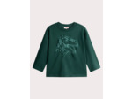 T-shirt vert pin animation dino pour garçon