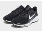 Nike Pegasus 41 Homme