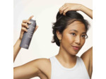 Shampooing sec Perfect Hair Day