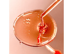 Sérum Booster D’Éclat Pink Oil