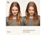 Shampooing sec Perfect Hair Day